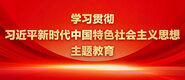 啊,操逼逼学习贯彻习近平新时代中国特色社会主义思想主题教育_fororder_ad-371X160(2)